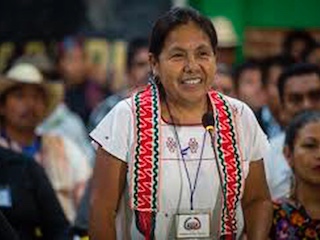 breves-Marichuy Patricio-WB