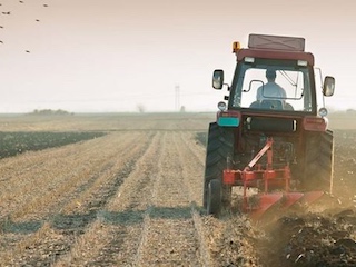 11ecoint-agricultores-WB