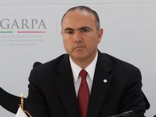 econal-JOSE-CALZADA-ROVIROSA-WB