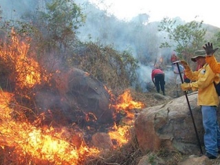 estados-incendios-WB