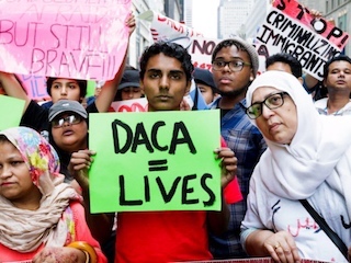 polint-daca-WB