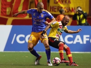 fint-tigres-herediano-WB
