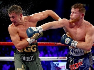 6VD-Canelo-WB