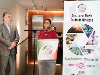 2breves-campo-WB