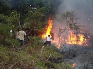 estados-incendio-WB