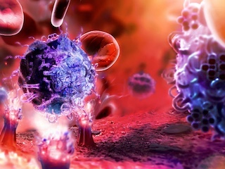 salud-inmunologia-WB