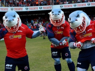 fmx-Tiburones Rojos-WB
