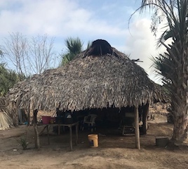 023-estados-biosfera-WB