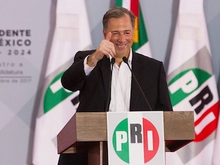 1-polnal-meade-campaña-WB