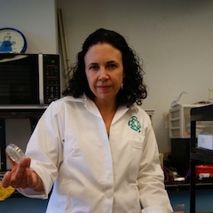 61-bacteria-Cuatro-Ciénegas-WB