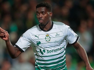 web-Djaniny Tavares