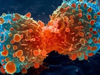 web-salud-cancer