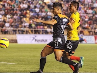 web-Alebrijes-Leones-Negros