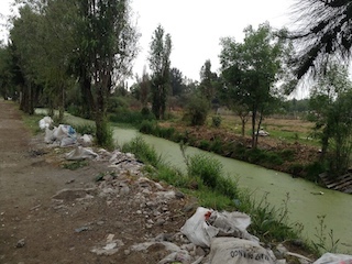 web-delegaciones-xochimilco
