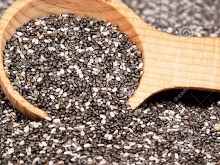 web-salud-chia