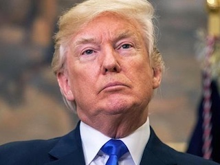 web-trump