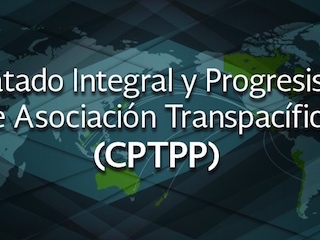 web-31-eco-internacional