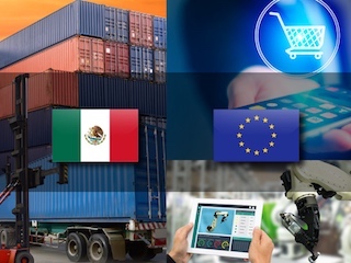 web-31ecoint-tratado