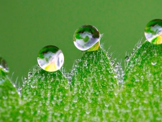 web-tecnologia nanoagua