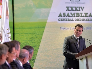 web-asi-agroalimentaria