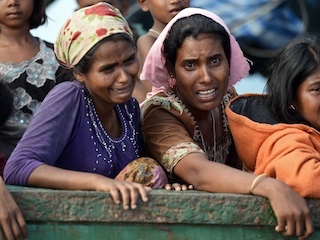 web-rohingyas