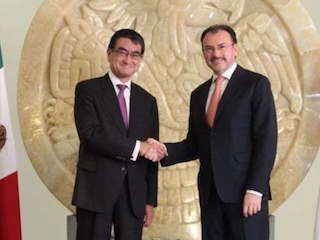 web-31-videgaray-japon