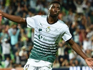 web-Djaniny Tavares 