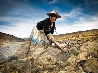 web-mujeres-cambio-climatico