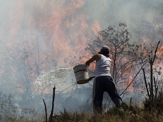 web-tlalpan-incendios