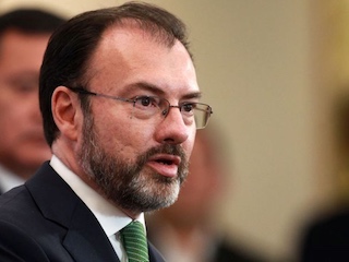 web-Videgaray