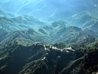 web-reserva-de-la-biosfera-el-triunfo-paraiso-chiapaneco-entre-la-niebla1