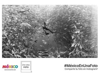 web-64-turismo-Mexico-Foto