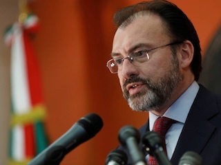 web-videgaray