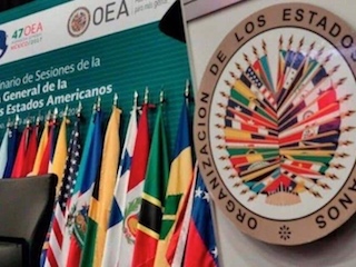 web-24-oea