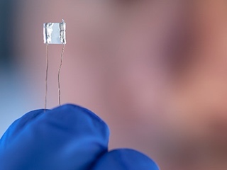 web-65-detector-gases