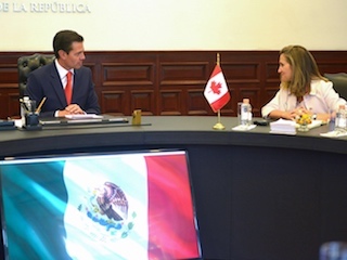 web-polnal-epn