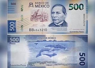 web-22-billete-500
