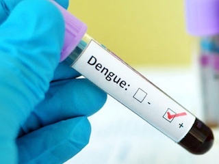 web-62 zika-dengue