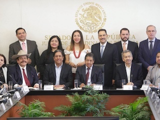 web-21-tren-maya-naicm
