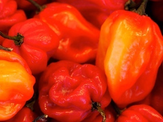 web-64 habaneros