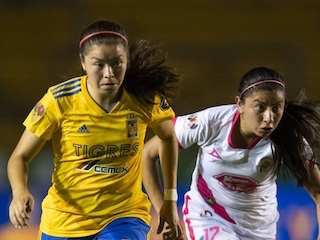 web-52-tigres-monarcas