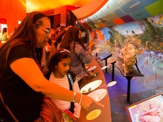 web-63-museo-historia-natural