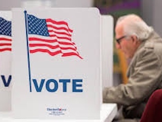 web-31-votacion
