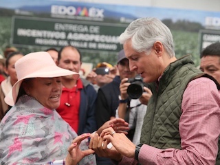 web-43-edomex