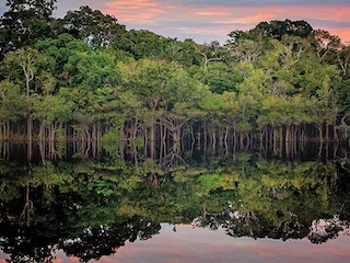 web-32-brasil-amazonia-jau-abre