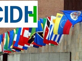 web-31-cidh