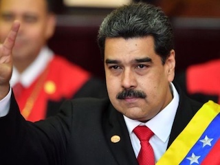 web-31-maduro