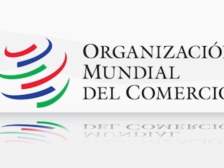 web-22-OMC