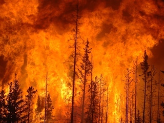 web-31-chile incendio