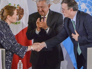 web-21-firma-onu